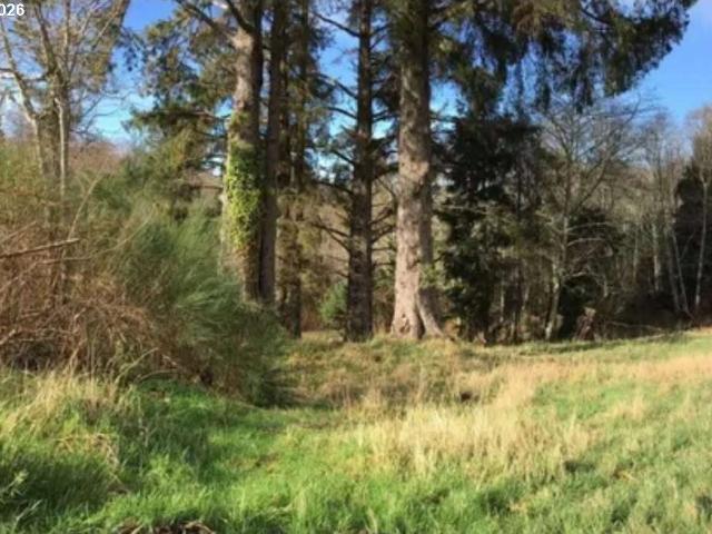 Land for sale in Oregonia