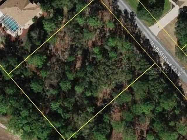 Land for sale in Beverly Hills, Florida