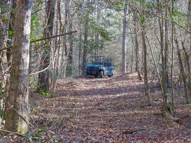 Land for sale in Cochran, Georgia