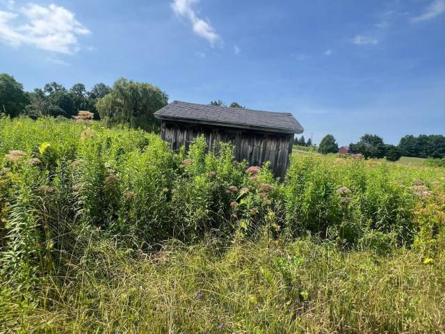 Land for sale in Canajoharie, New York