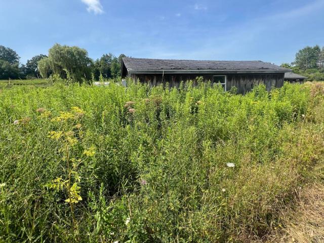 Land for sale in Canajoharie, New York