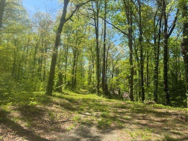 Land for sale in Suches, Georgia