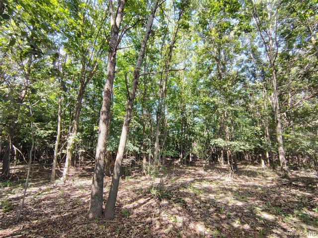 Land for sale in Michigan