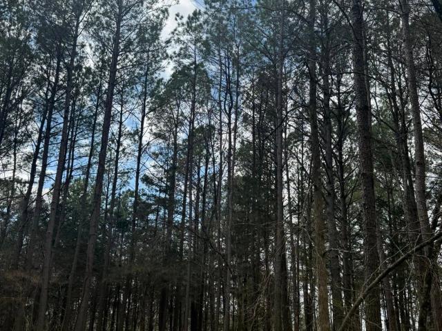 Land for sale in Tennessee