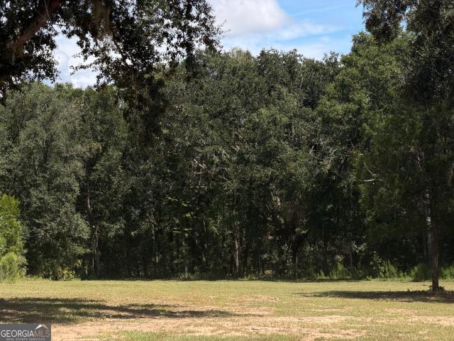 Land for sale in Lowndes, Georgia