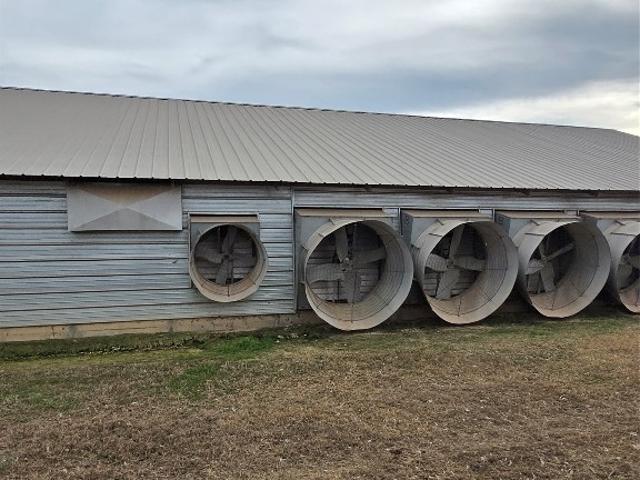 Farm for sale in Texas