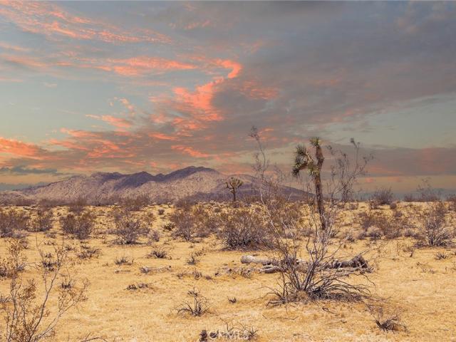Land for sale in Joshua Tree, California