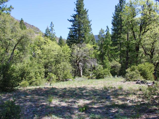Land for sale in Sierra City, California