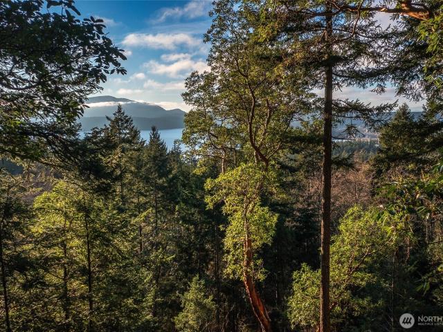 Land for sale in Eastsound, Washington