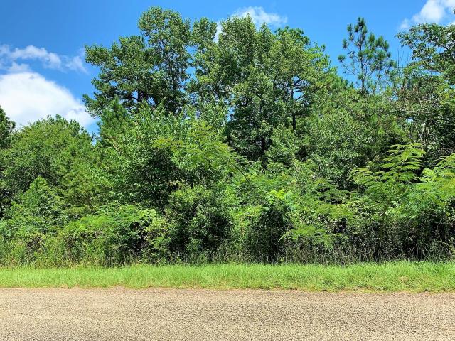 Land for sale in Jacksonville, Cherokee County