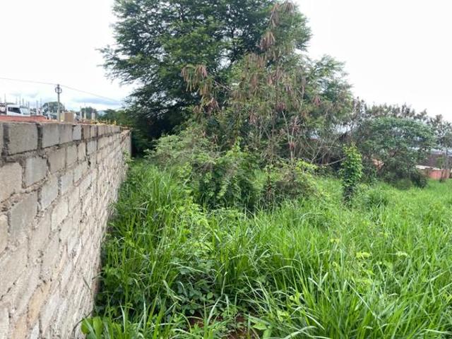 Land for sale in Mopani, Limpopo