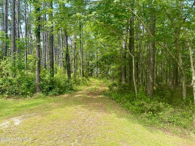 Land for sale in Beaufort, Carteret County