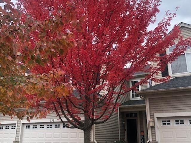 Townhouse for sale in Gilberts, Illinois