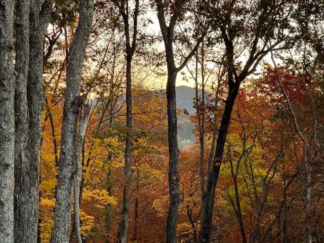 House for sale in Morganton, Georgia