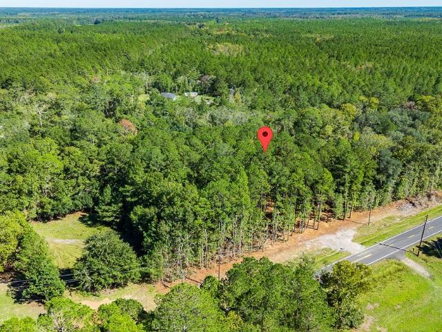 Land for sale in Guyton, Effingham County