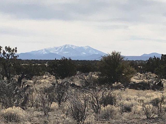 Land for sale in Williams, Arizona
