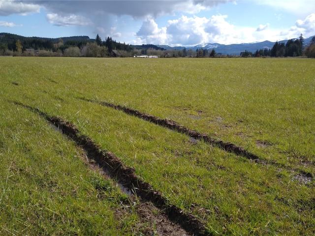 Land for sale in Lewis County, Washington