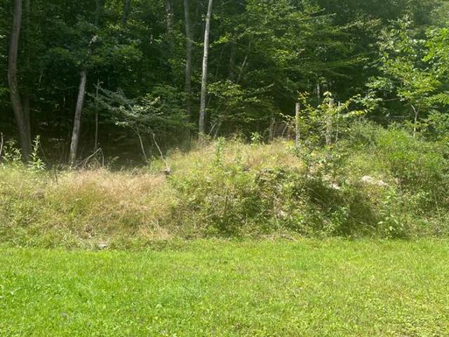 Land for sale in Garrett, Maryland