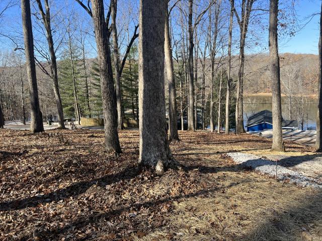Land for sale in Dover, Middle Tennessee