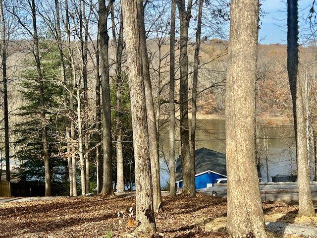 Land for sale in Dover, Middle Tennessee