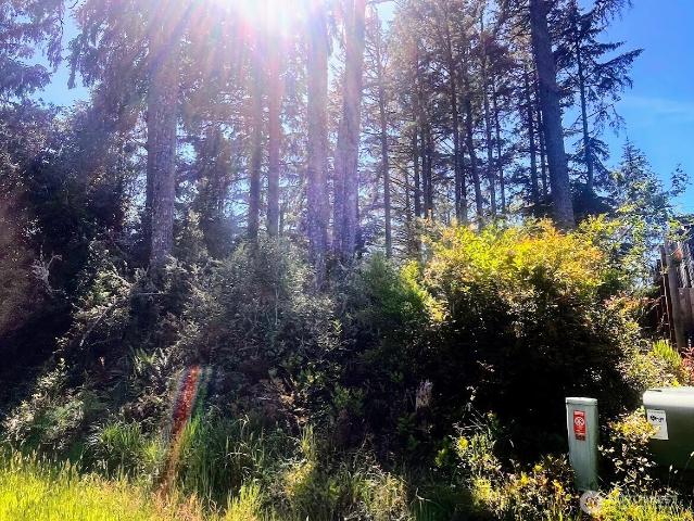 Land for sale in Ocean Shores, Washington