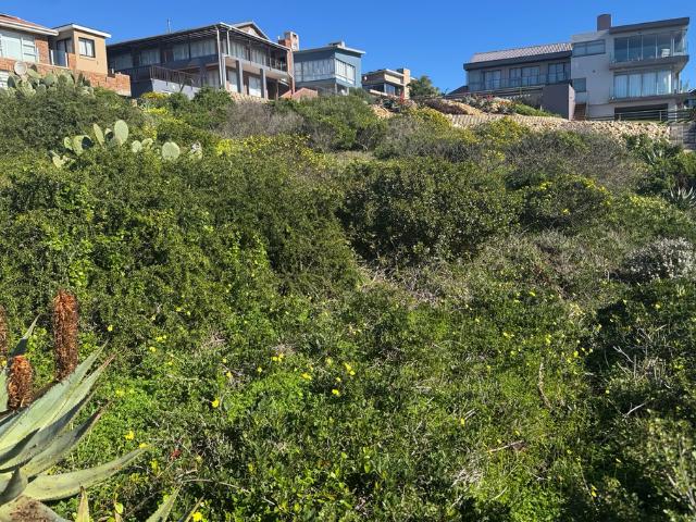 Land for sale in Groot Brak Rivier, Western Cape
