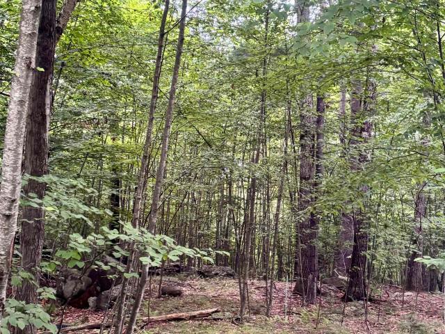 Land for sale in New Hampshire
