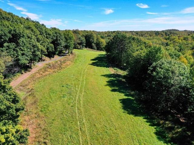 Land for sale in Medford, Wisconsin