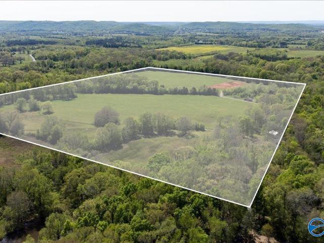 Land for sale in Moulton, Alabama