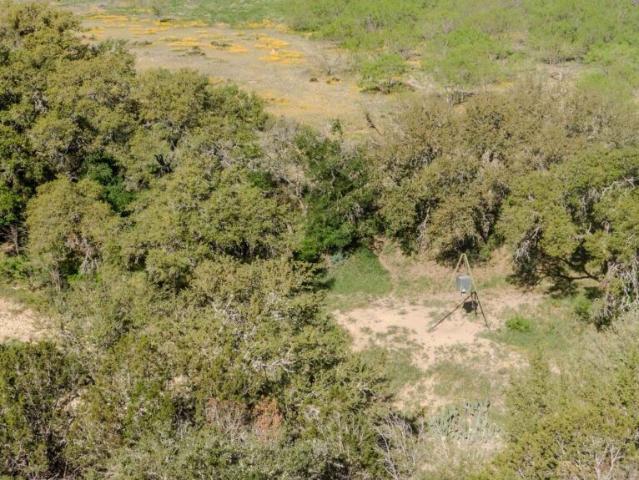 Farm for sale in Menard, Texas