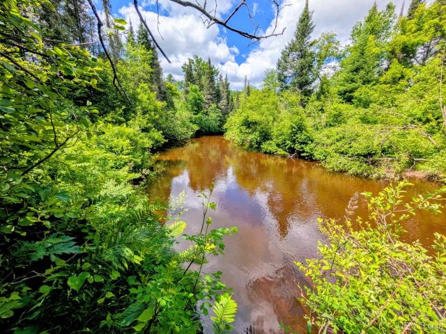 Land for sale in Michigan