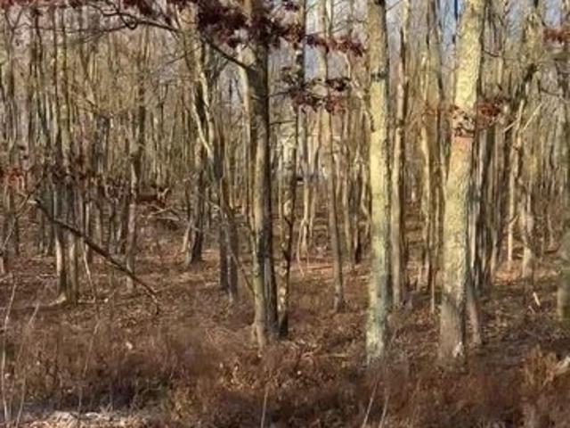 Land for sale in Carbon, Pennsylvania