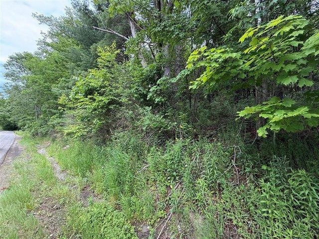 Land for sale in Binghamton, New York