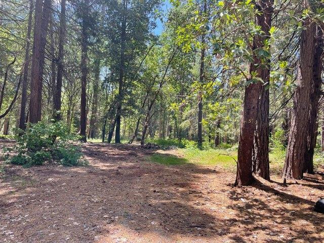Land for sale in Butte, California
