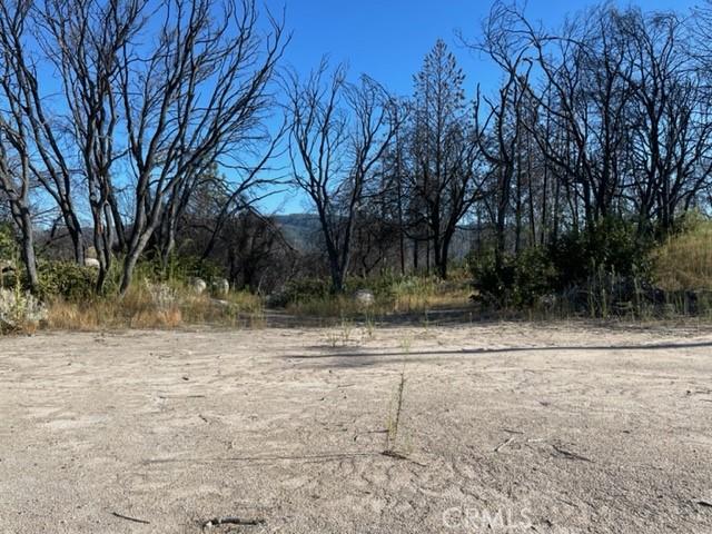 Land for sale in Butte, California