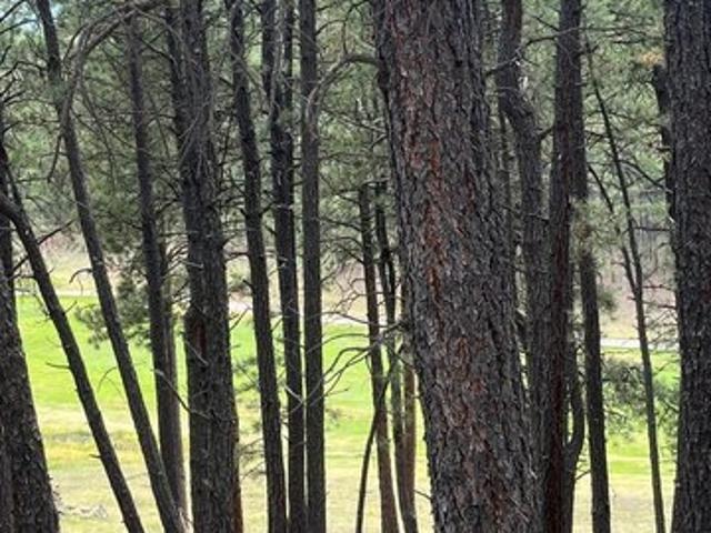 Land for sale in Angel Fire, New Mexico