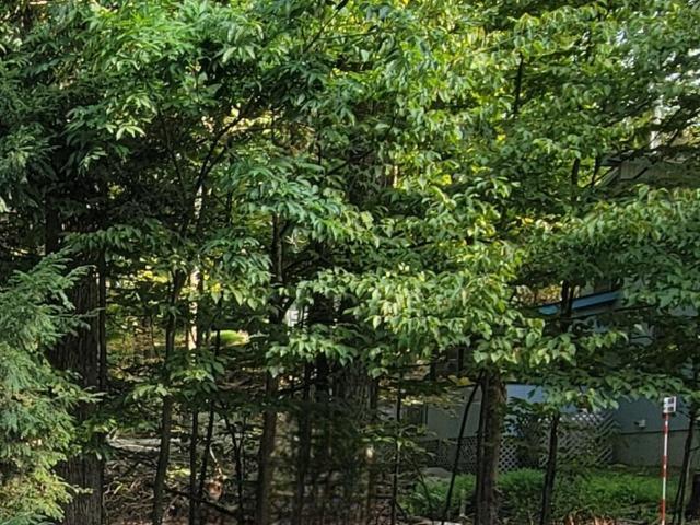 Land for sale in Lake Ariel, Pennsylvania
