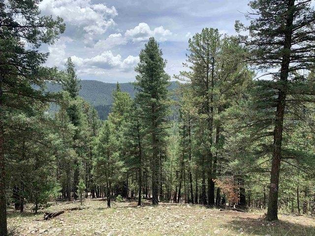 Land for sale in Cloudcroft, New Mexico