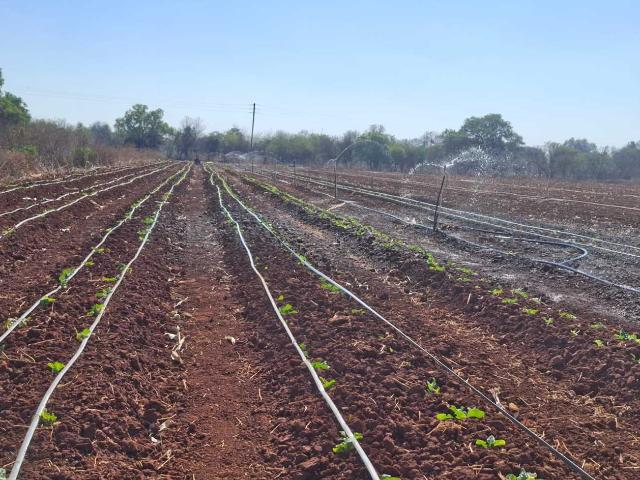 Farm for sale in Cullinan, Gauteng