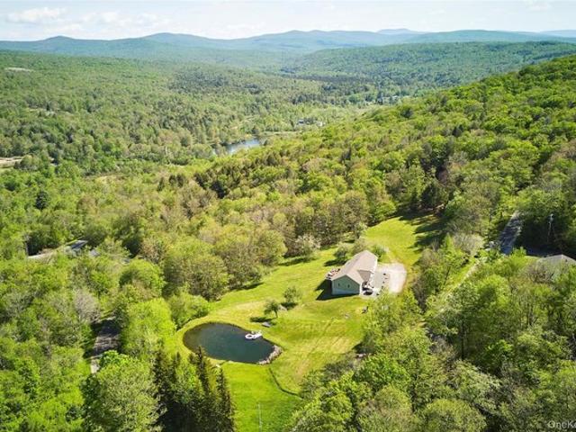 House for sale in Claryville, New York