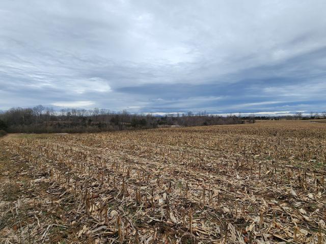 Farm for sale in Tennessee