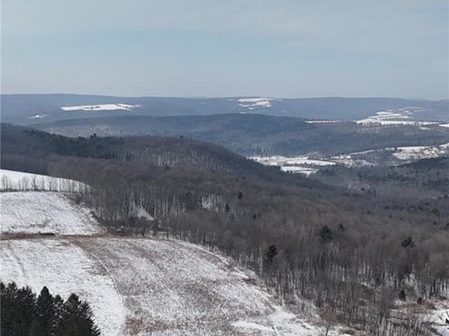 Farm for sale in New York