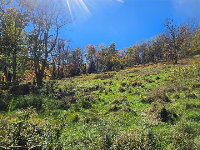 Land for sale in Parksville, Town of Liberty
