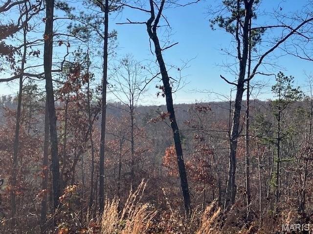 Farm for sale in Fredericktown, Missouri