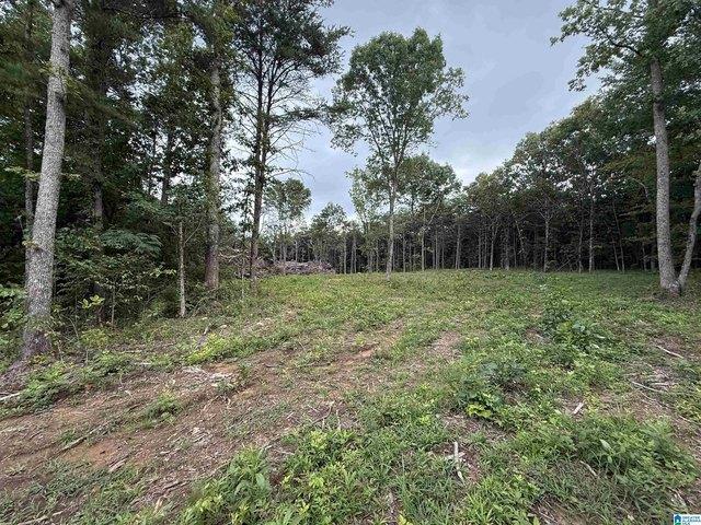 Land for sale in Blount, Alabama