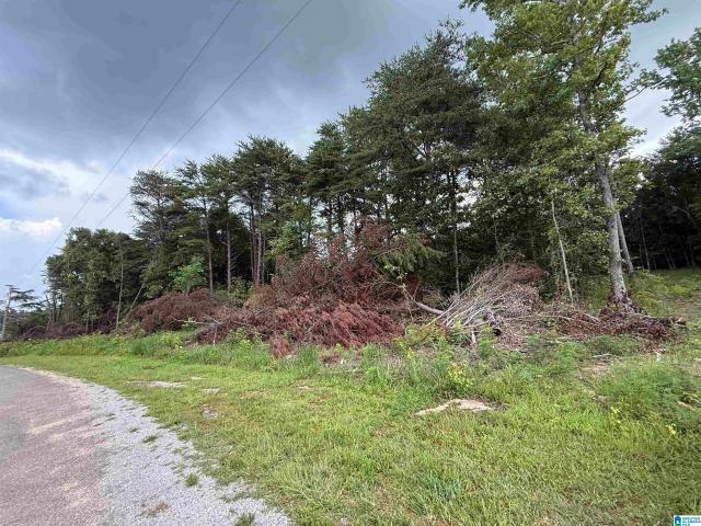 Land for sale in Blount, Alabama