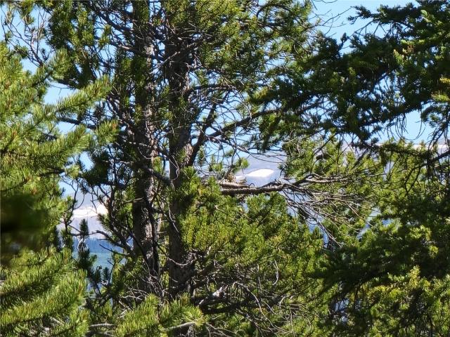 Land for sale in Fairplay, Colorado