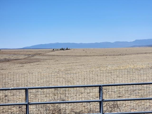 Land for sale in New Mexico