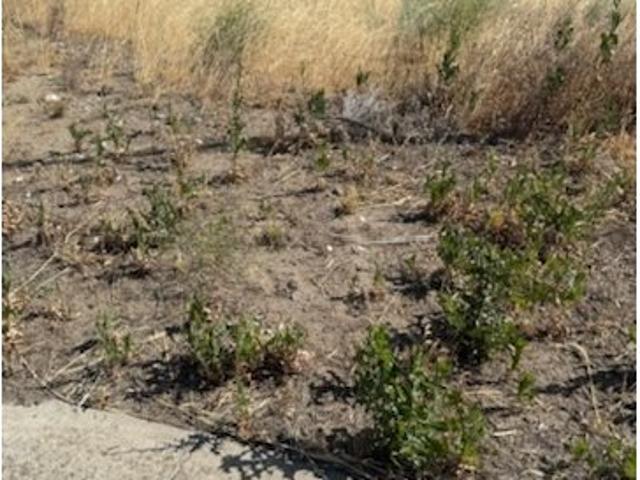 Land for sale in Oregonia