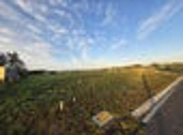 Land for sale in Feilding